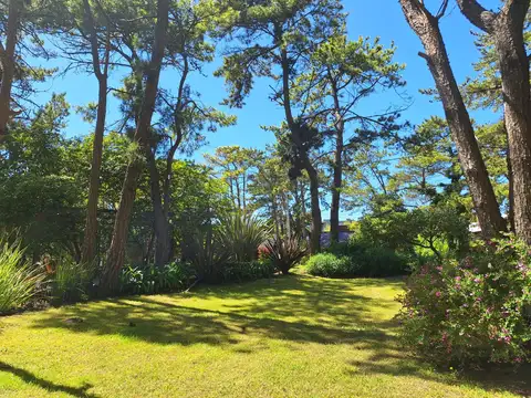 Alferez Sobral entre Virazon y Storni