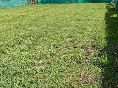 Lote Santa Elena, Pilar del Este -