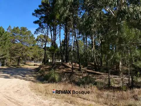 Terreno en Venta en Villarobles, USD 39.500
