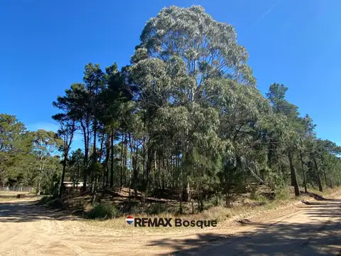 LOTE EN VENTA - VILLA ROBLES, BARRIO SERENA