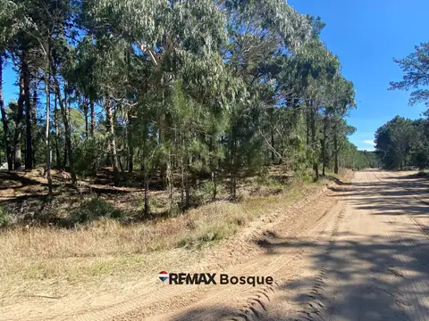 Barrio Serena, Villa Robles