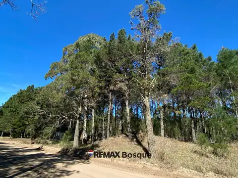LOTE EN VENTA - VILLA ROBLES, BARRIO SERENA