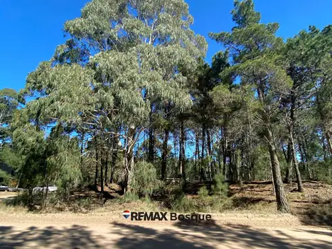 Terreno en Venta en Villarobles, USD 39.500