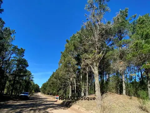 Terreno en Venta de 913,0 m2