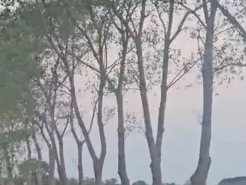 Terreno en Venta de 30000,0 m2