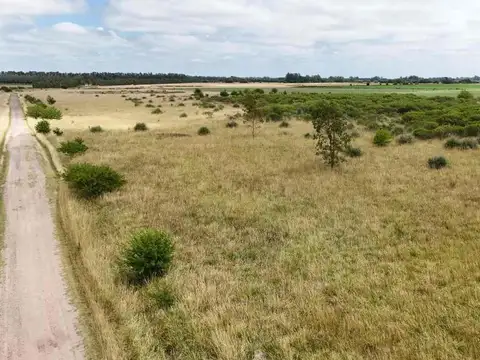 Terreno en Venta de 100000,0 m2