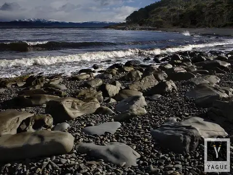 Campo - Ushuaia