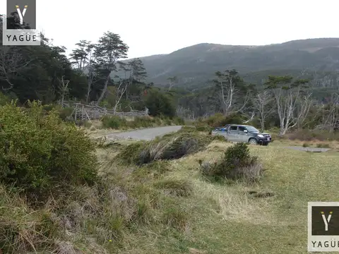 Campo - Ushuaia