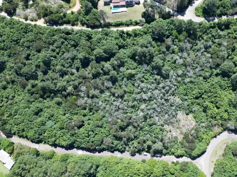 las