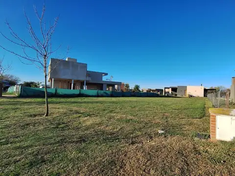 Old Man, Panamericana Ramal Escobar ,Belén de Escobar, Provincia de Buenos Aires al 700