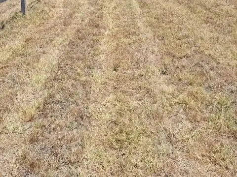 Campo en Venta de 0,02  ha