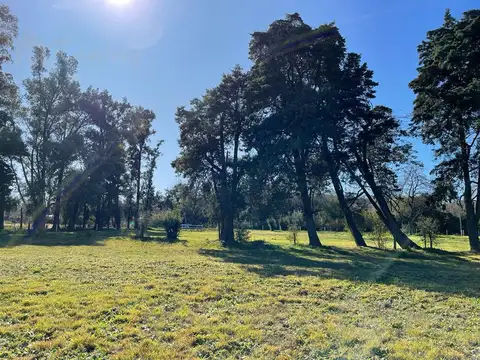 Enrique Larreta al 8300