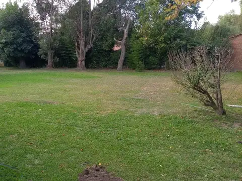 Quinta en Alquiler con 1 cochera