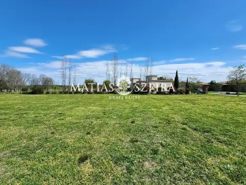 RUTA 6