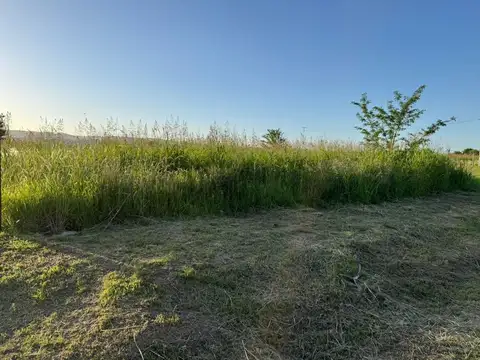 Ruta Provincial E53 100