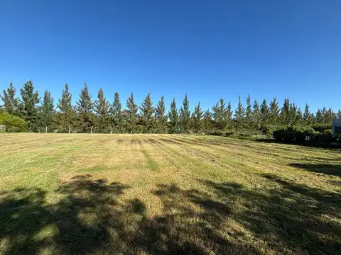 Terreno en Venta, FOS 35