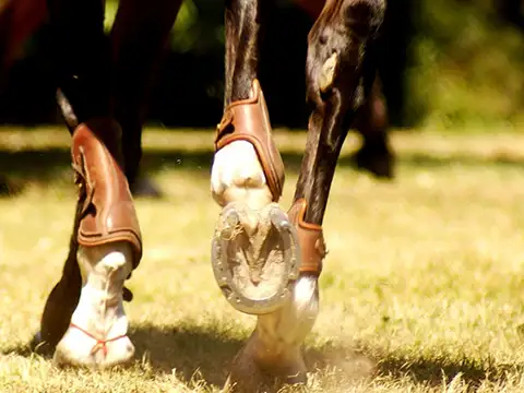 Terreno en Venta de 3947,0 m2