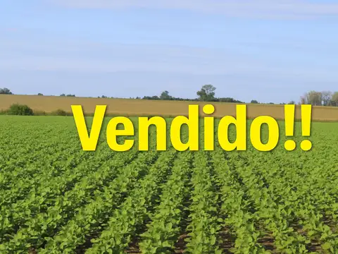Campo agrícola en Gualeguaychú cercano a Larroque