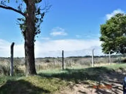 Avenida Roldán 1500