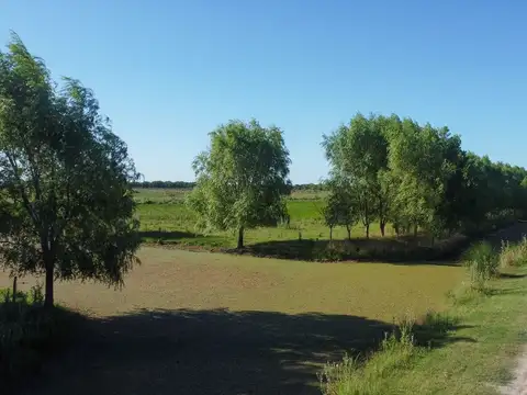 VENTA LOTE COMERCIAL LA MANSA GENERAL MADARIAGA