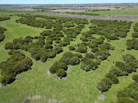 Terreno en Venta en General Madariaga, USD 250.000