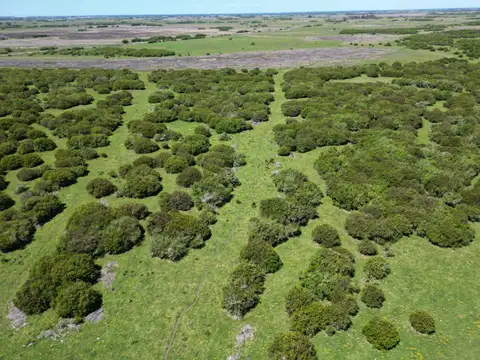 Terreno en Venta de 400000,0 m2