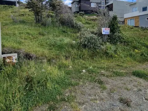 Calle Teodoro Mendoza 4000
