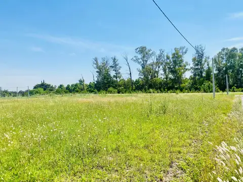 Terreno en Venta 31  mts Frente