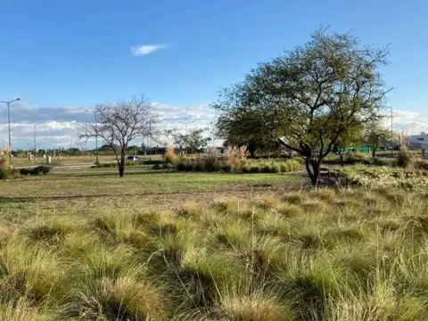 Terreno en Venta de 269,0 m2