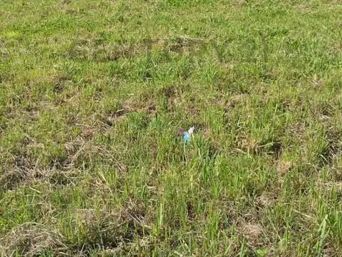 Terreno en Venta 13  mts Frente