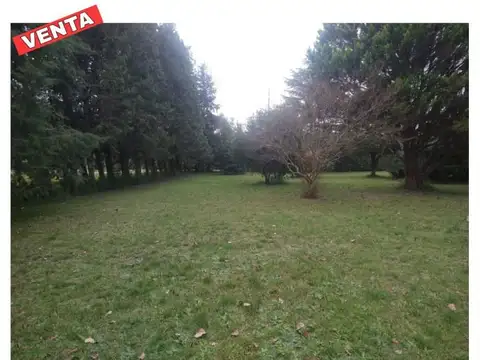 Terreno en Venta 47  mts Fondo