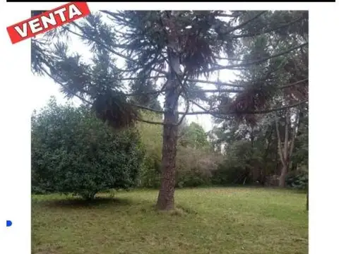 Terreno en Venta 16  mts Frente