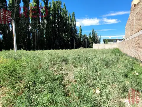 Terreno en Centenario