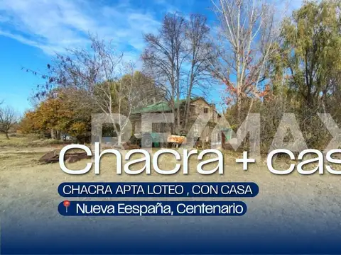 VENTA CHACRA APTA LOTEO , CON CASA , CENTENARIO