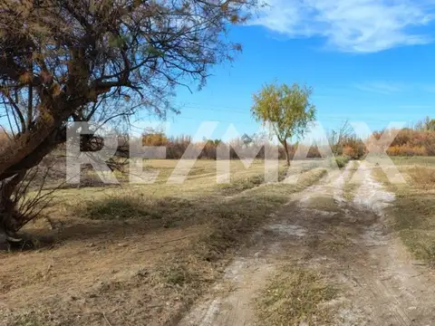 Acceso Nueva España