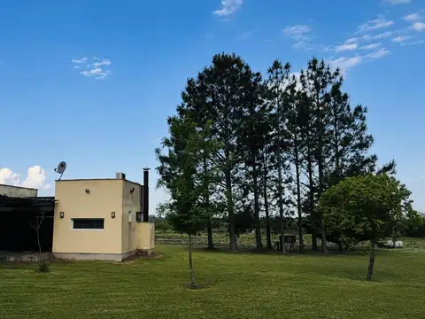 Terreno en Alquiler de 37500,0 m2