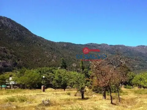 Centro
