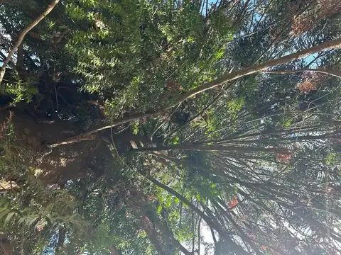 Terreno en Venta de 2500,0 m2