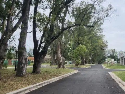 Terreno en Venta de 510,0 m2