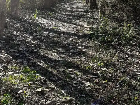 Terreno en Isla Santiago