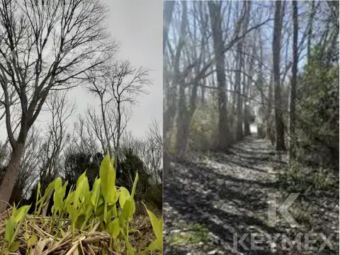Terreno en Isla Santiago