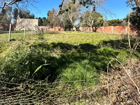 Terreno en Venta 20  mts Fondo