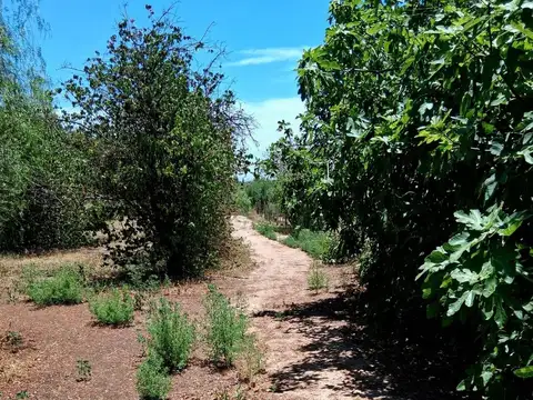 Terreno en Venta en Barrancas, USD 57.000