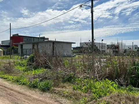 Avenida montevideo