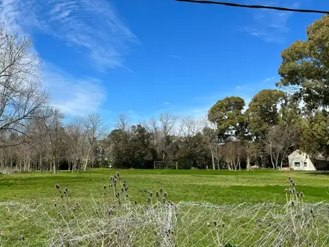 Avenida montevideo