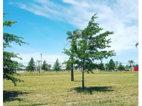 Lomas de Alicia, Granadero Baigorria - Lote 17 Manzana C