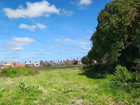 Terreno en venta en Dolores para lotear 