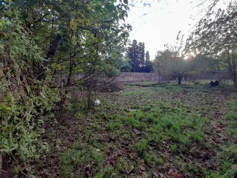 Terreno zona industrial en la Reja - Moreno 