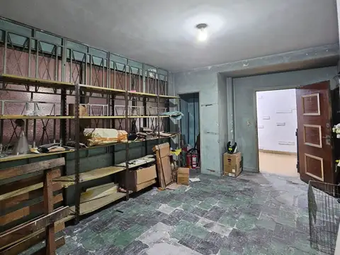 Pasteur 300