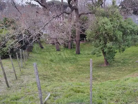 Terreno en Venta de 770,0 m2